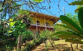 Cabanas Tico Gringo
